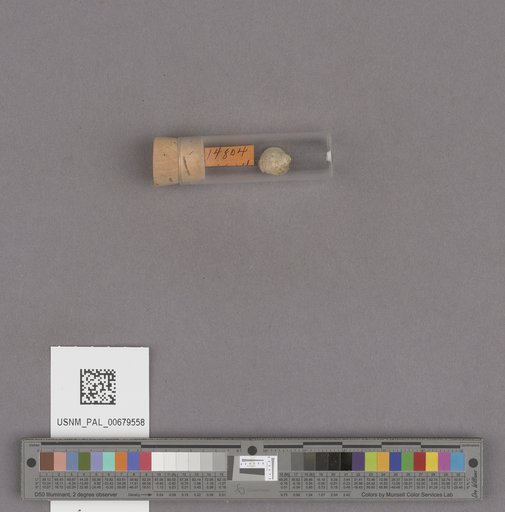 NSF ADBC EPICC TCN