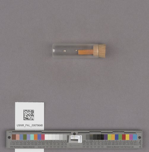 NSF ADBC EPICC TCN