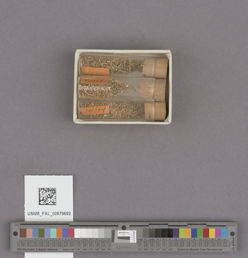 NSF ADBC EPICC TCN