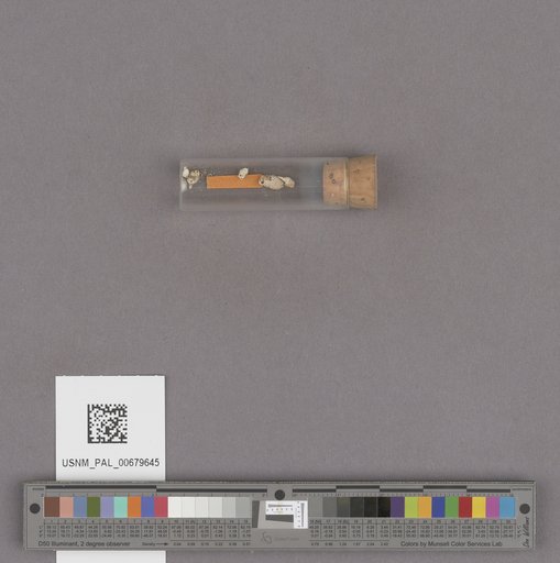 NSF ADBC EPICC TCN