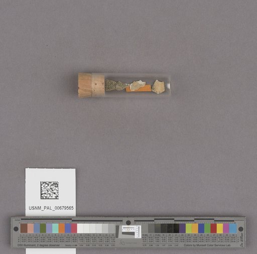 NSF ADBC EPICC TCN