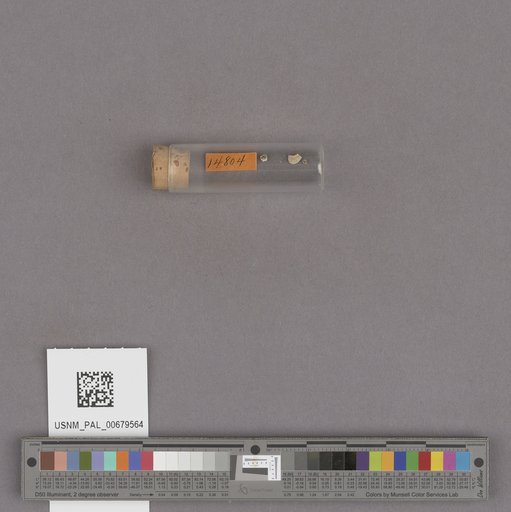 NSF ADBC EPICC TCN