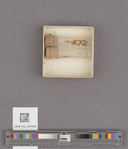 NSF ADBC EPICC TCN