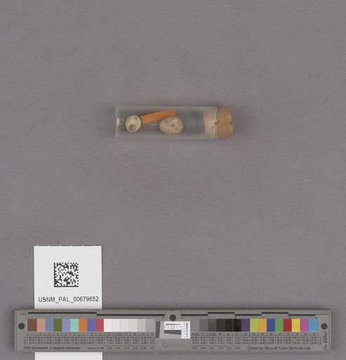 NSF ADBC EPICC TCN