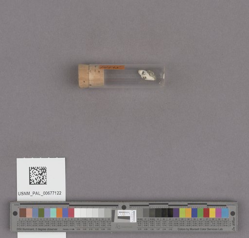 NSF ADBC EPICC TCN