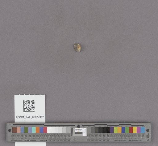 NSF ADBC EPICC TCN
