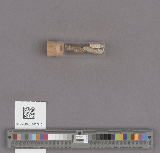 NSF ADBC EPICC TCN