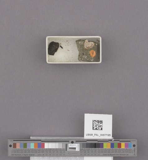 NSF ADBC EPICC TCN