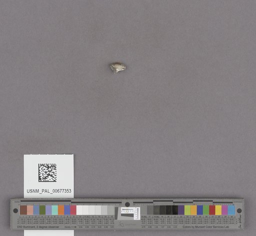 NSF ADBC EPICC TCN