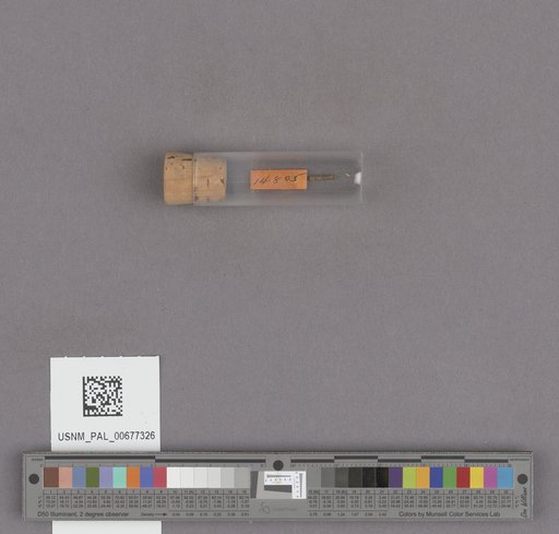 NSF ADBC EPICC TCN