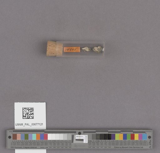 NSF ADBC EPICC TCN