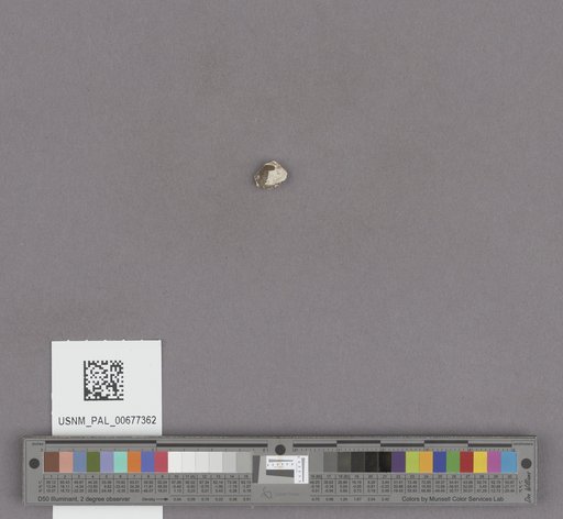 NSF ADBC EPICC TCN