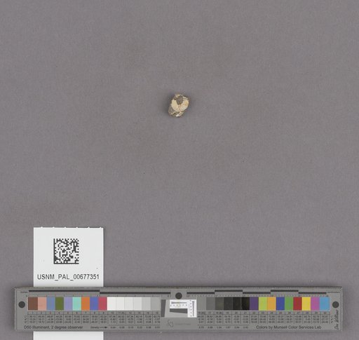 NSF ADBC EPICC TCN