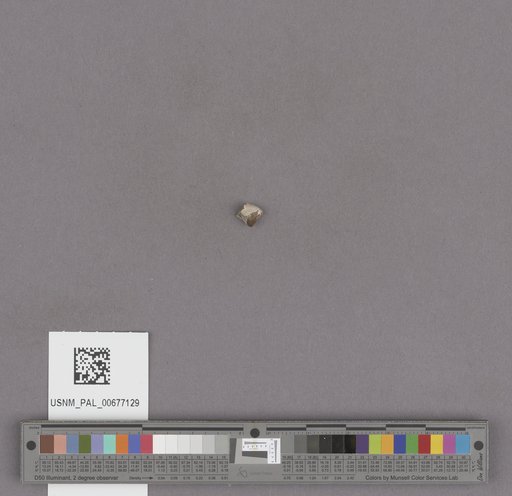 NSF ADBC EPICC TCN