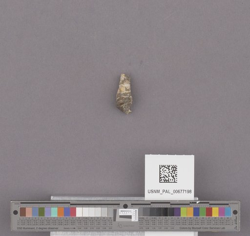 NSF ADBC EPICC TCN