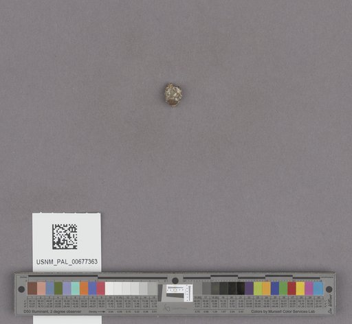 NSF ADBC EPICC TCN