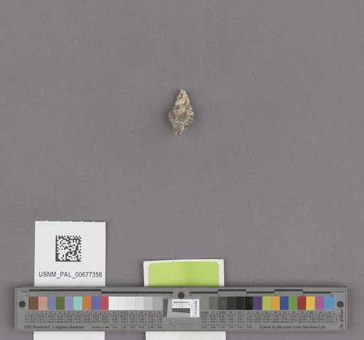 NSF ADBC EPICC TCN
