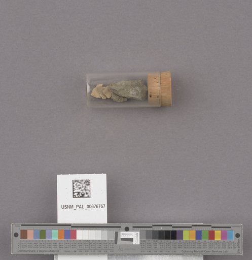 NSF ADBC EPICC TCN