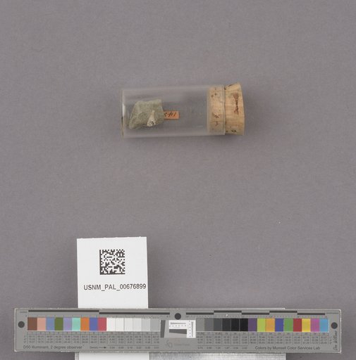 NSF ADBC EPICC TCN