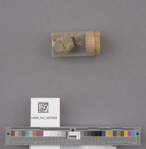 NSF ADBC EPICC TCN
