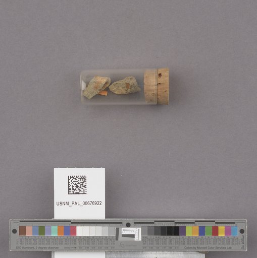 NSF ADBC EPICC TCN