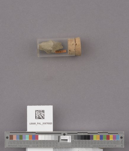 NSF ADBC EPICC TCN