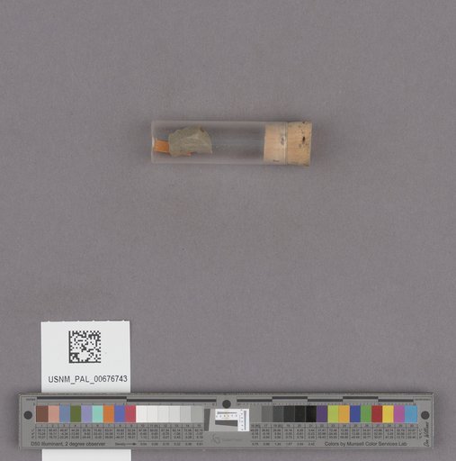 NSF ADBC EPICC TCN
