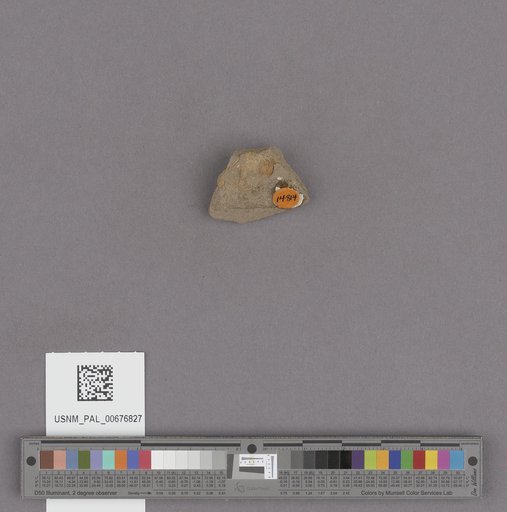 NSF ADBC EPICC TCN