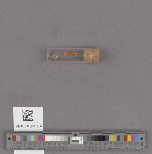 NSF ADBC EPICC TCN