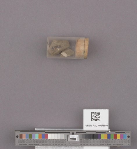NSF ADBC EPICC TCN