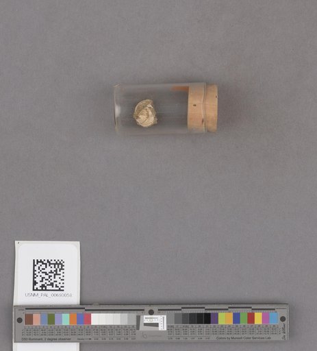 NSF ADBC EPICC TCN