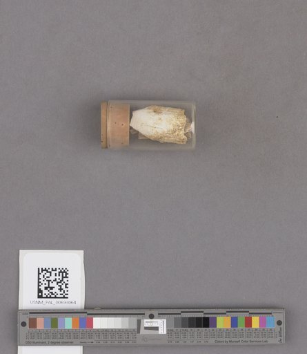 NSF ADBC EPICC TCN