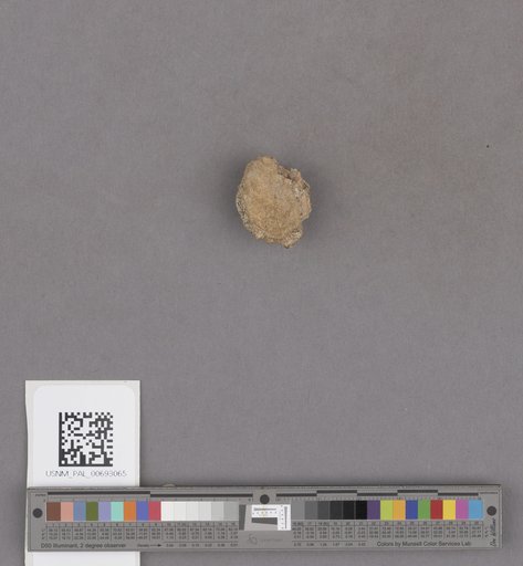 NSF ADBC EPICC TCN