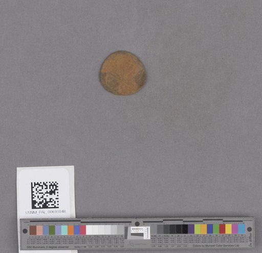NSF ADBC EPICC TCN