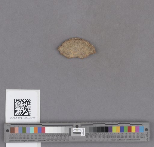 NSF ADBC EPICC TCN
