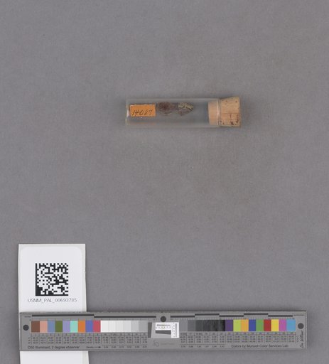 NSF ADBC EPICC TCN