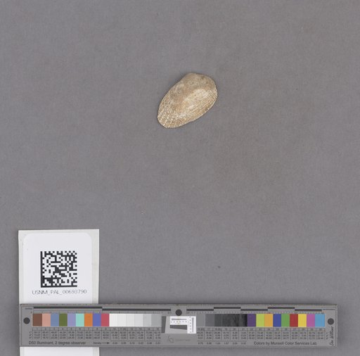 NSF ADBC EPICC TCN
