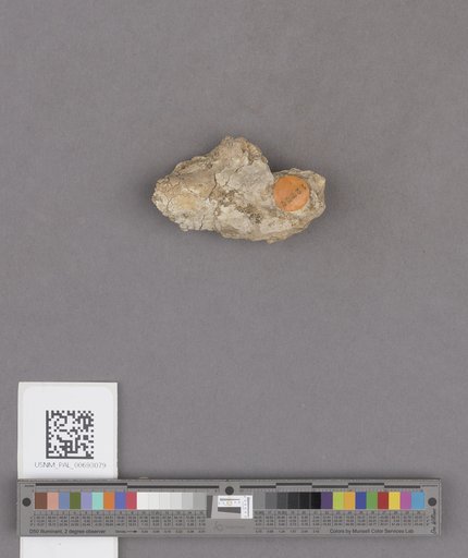 NSF ADBC EPICC TCN