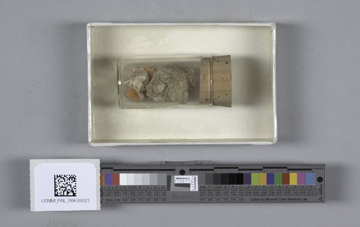 NSF ADBC EPICC TCN