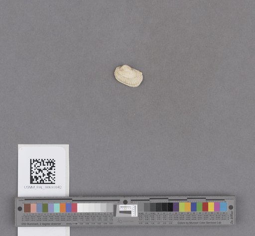NSF ADBC EPICC TCN