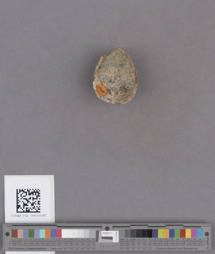 NSF ADBC EPICC TCN