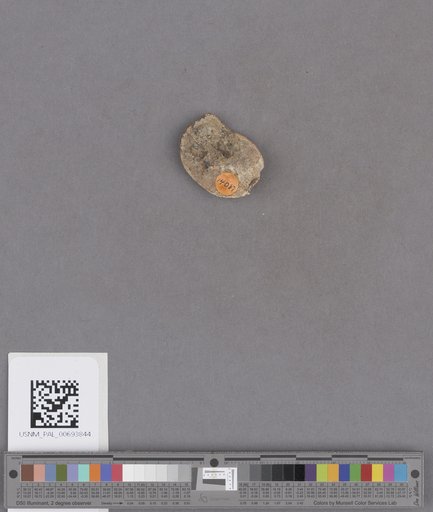 NSF ADBC EPICC TCN