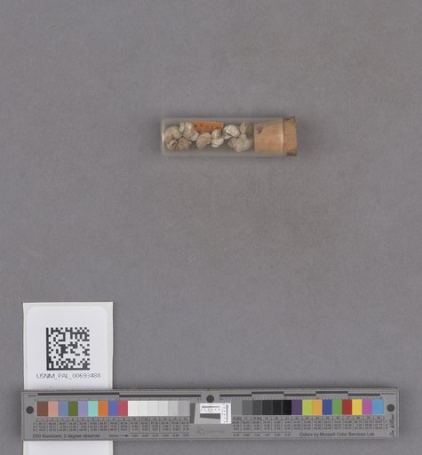 NSF ADBC EPICC TCN