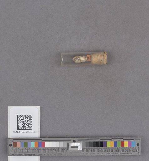 NSF ADBC EPICC TCN