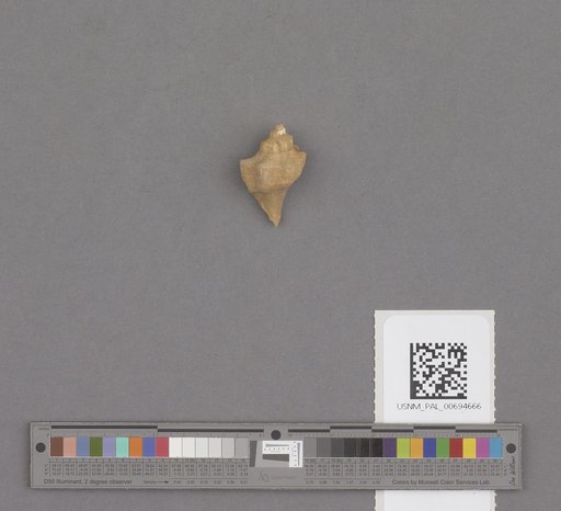 NSF ADBC EPICC TCN