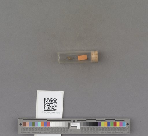 NSF ADBC EPICC TCN