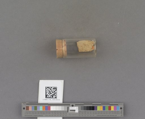 NSF ADBC EPICC TCN