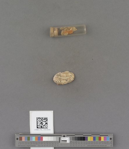 NSF ADBC EPICC TCN