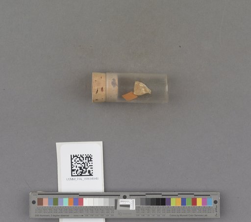 NSF ADBC EPICC TCN