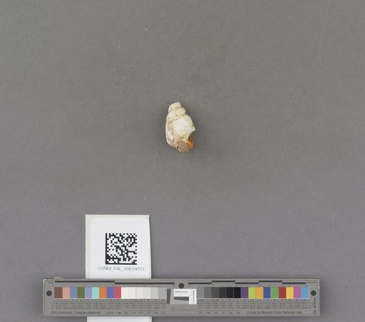NSF ADBC EPICC TCN
